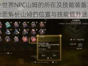 天外世界NPC山姆的所在及技能装备攻略：全面解析山姆的位置与技能提升途径