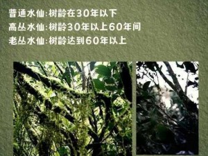 花核心舌头在里面旋转，口感独特，清新自然，享受美妙滋味