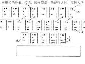 丰年经的继拇中文 3：操作简单，功能强大的中文输入法