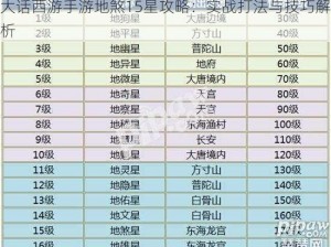 大话西游手游地煞15星攻略：实战打法与技巧解析