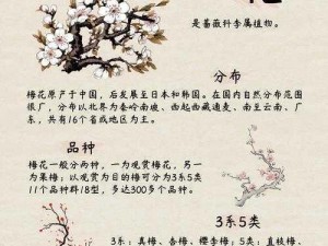 烟雨江湖梅花步获取攻略：揭秘梅花步的获取方法与步骤