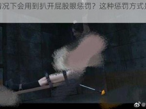 什么情况下会用到扒开屁股眼惩罚？这种惩罚方式是否合理？