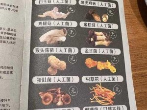 剑网3指尖江湖神仙炖烹饪秘诀：掌握制作配方，烹饪高手的专属佳肴制作攻略