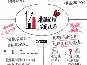 撅起来，自己报数，姜实践——让你的学习更高效