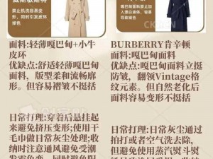 BURBERRY中文免费版(如何获取 BURBERRY 中文免费版的相关信息及使用方法？)