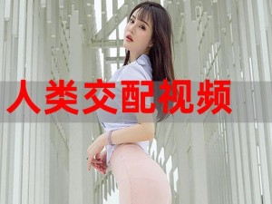 人妻互换 HDF 中文：成人之间私密的交流平台