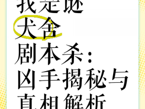 探索未知：我是谜的不幸答案解析与不幸真相一览