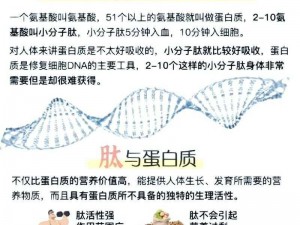 探索人与畜禽的共性，发现奇妙的生物奥秘——畜禽肽