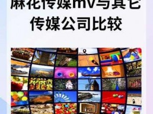 麻花传剧原创mv免费观看;麻花传剧原创 mv 免费观看，你知道如何获取吗？快来一起探讨吧