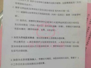 关于十三号病院卡流程小技巧分享的实用指南