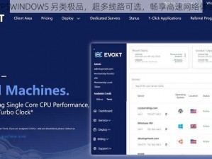 VPSWINDOWS 另类极品，超多线路可选，畅享高速网络体验