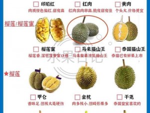 优质榴莲香蕉苹果哈密瓜水蜜桃已被封禁