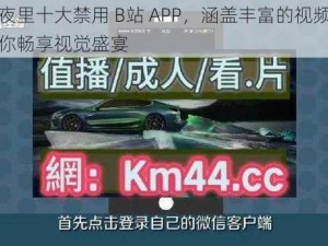 国产夜里十大禁用 B站 APP，涵盖丰富的视频资源，让你畅享视觉盛宴