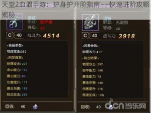 天堂2血盟手游：护身护升阶指南——快速进阶攻略揭秘