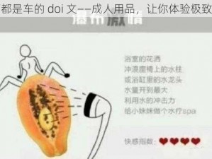 整篇都是车的 doi 文——成人用品，让你体验极致快感