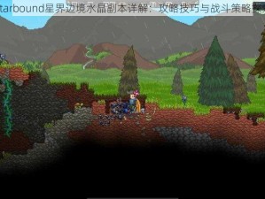 Starbound星界边境水晶副本详解：攻略技巧与战斗策略探索