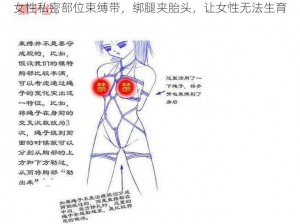 女性私密部位束缚带，绑腿夹胎头，让女性无法生育