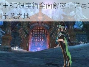 万王之王3D银宝箱全面解密：详尽攻略助你找到宝藏之地