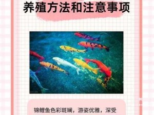 女人绝技鲤鱼喝水教程：提升性能力的独特技巧