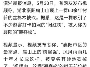 独家揭秘娱乐八卦新闻背后不为人知的产品介绍