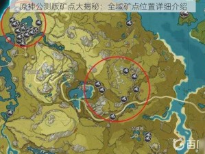 原神公测版矿点大揭秘：全域矿点位置详细介绍