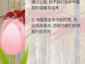 一段母爱往事，蕴含无尽温情，让宝宝在爱与呵护中成长