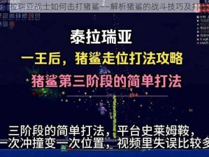 关于泰拉瑞亚战士如何击打猪鲨——解析猪鲨的战斗技巧及打法攻略