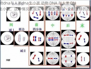 动物dna与人类dna生小孩 动物 DNA 与人类 DNA 生小孩，这种情况在现实中可能发生吗？会有怎样的后果？