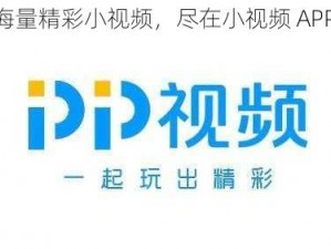 汇聚海量精彩小视频，尽在小视频 APP 网站