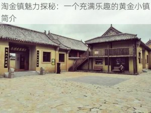 淘金镇魅力探秘：一个充满乐趣的黄金小镇简介