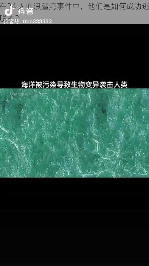 在24 人血浪鲨湾事件中，他们是如何成功逃脱的？