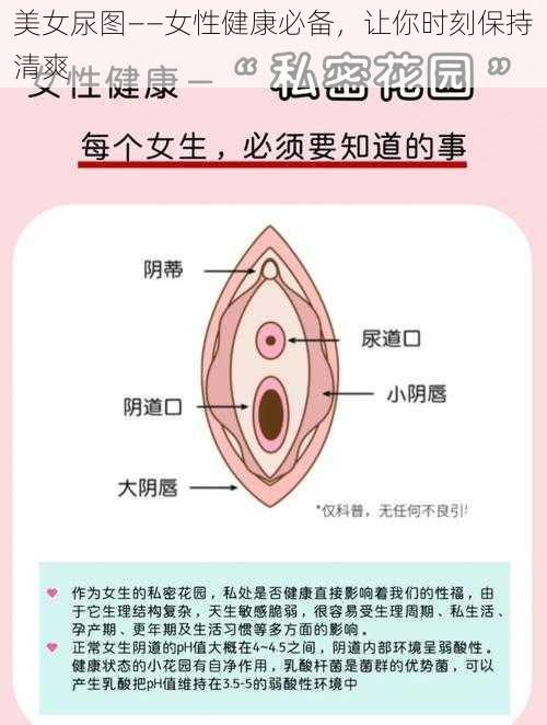 美女尿图——女性健康必备，让你时刻保持清爽