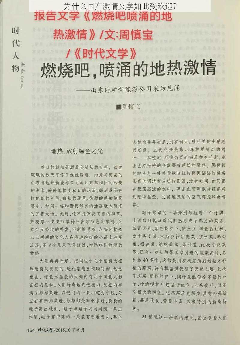 为什么国产激情文学如此受欢迎？