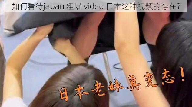 如何看待japan 粗暴 video 日本这种视频的存在？