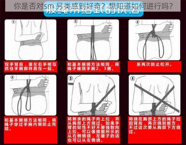 你是否对sm 另类感到好奇？想知道如何进行吗？