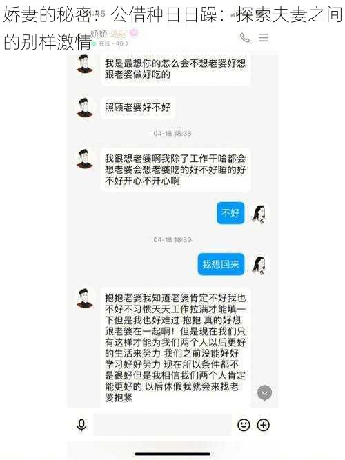 娇妻的秘密：公借种日日躁：探索夫妻之间的别样激情