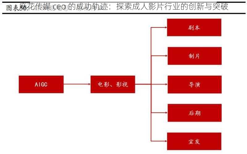 麻花传媒 ceo 的成功轨迹：探索成人影片行业的创新与突破