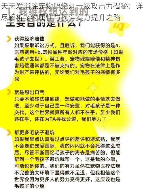 天天爱消除宠物照烧丸一级攻击力揭秘：详尽解析宠物属性与战斗实力提升之路