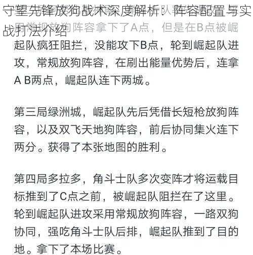 守望先锋放狗战术深度解析：阵容配置与实战打法介绍