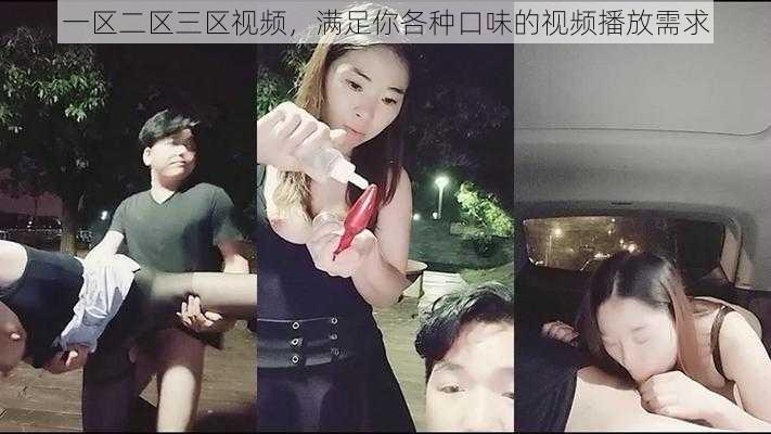 一区二区三区视频，满足你各种口味的视频播放需求