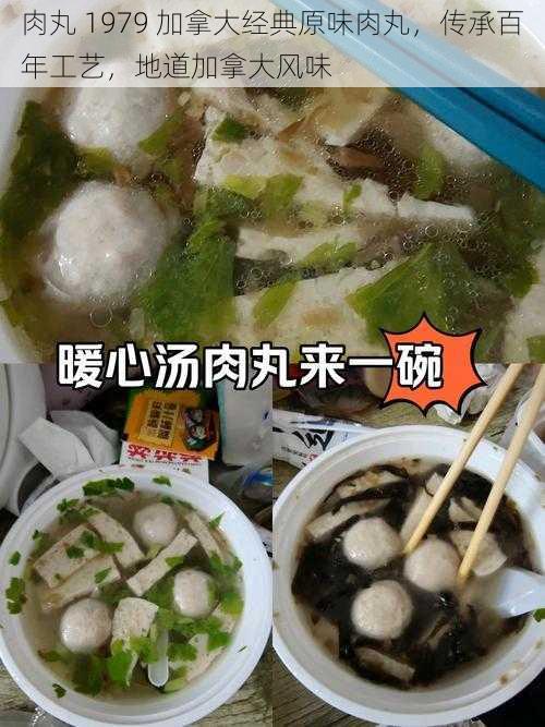 肉丸 1979 加拿大经典原味肉丸，传承百年工艺，地道加拿大风味