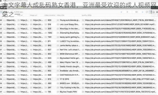 中文字幕人成乱码熟女香港，亚洲最受欢迎的成人视频网站之一