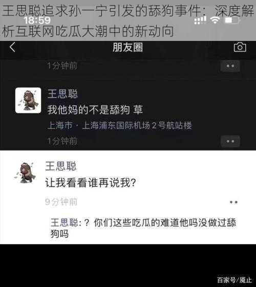 王思聪追求孙一宁引发的舔狗事件：深度解析互联网吃瓜大潮中的新动向