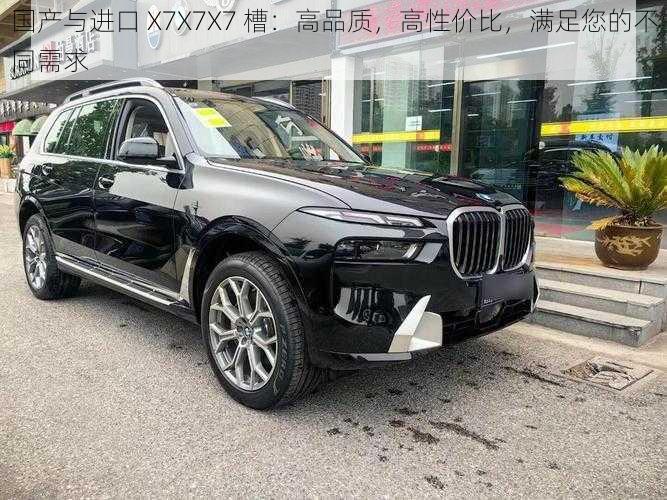 国产与进口 X7X7X7 槽：高品质，高性价比，满足您的不同需求