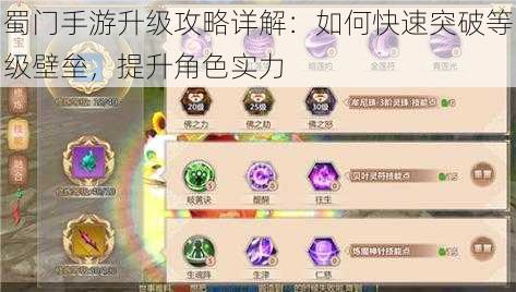 蜀门手游升级攻略详解：如何快速突破等级壁垒，提升角色实力