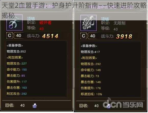 天堂2血盟手游：护身护升阶指南——快速进阶攻略揭秘