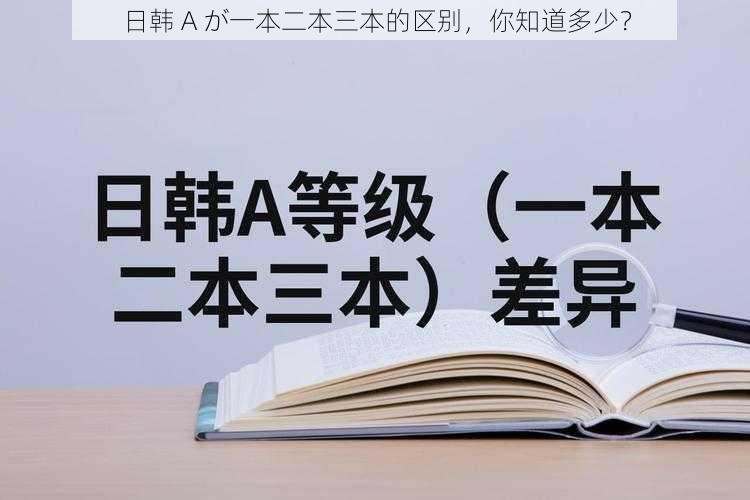 日韩 A が一本二本三本的区别，你知道多少？