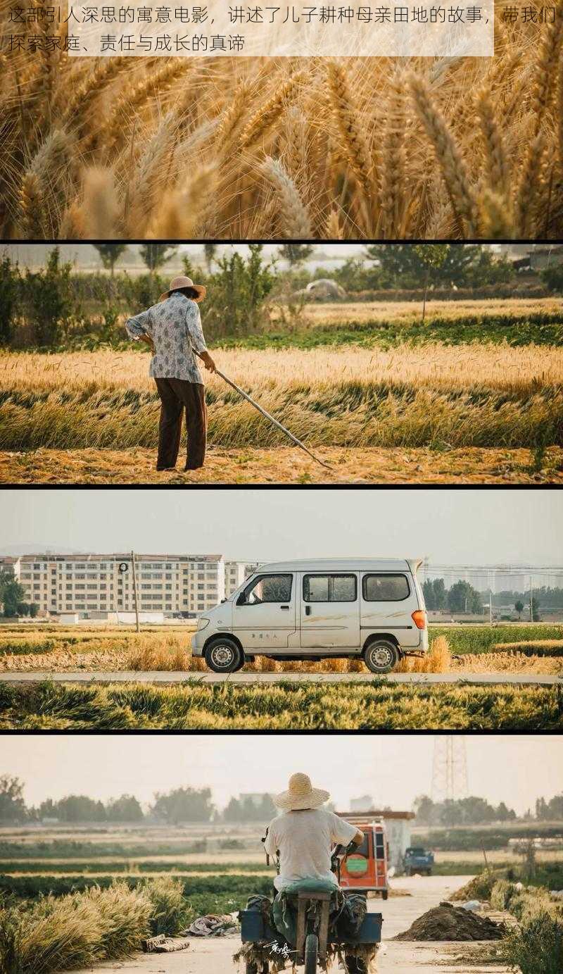 这部引人深思的寓意电影，讲述了儿子耕种母亲田地的故事，带我们探索家庭、责任与成长的真谛