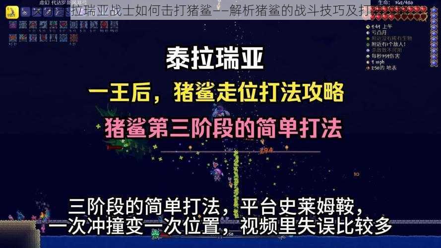 关于泰拉瑞亚战士如何击打猪鲨——解析猪鲨的战斗技巧及打法攻略