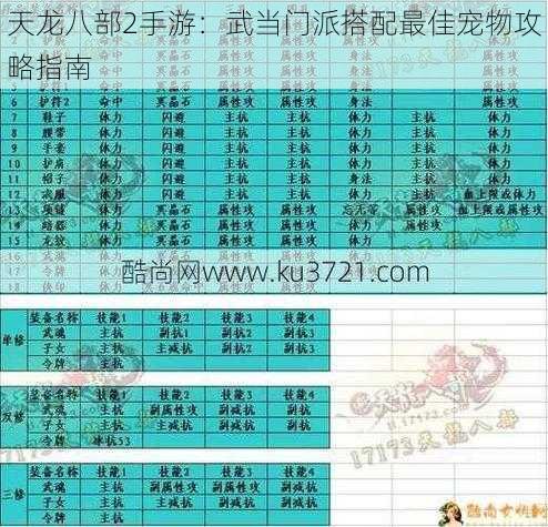 天龙八部2手游：武当门派搭配最佳宠物攻略指南